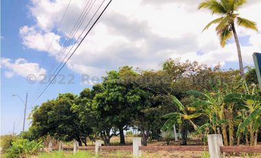 Terreno en Venta en San Carlos