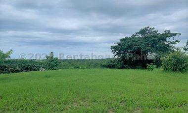 Terreno en Venta en San Carlos