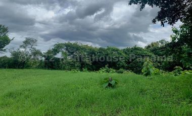 Terreno en Venta en San Carlos