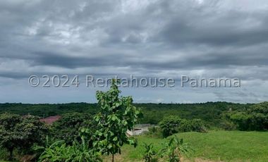 Terreno en Venta en San Carlos