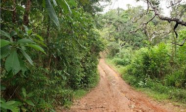 Terreno en Venta en Las Mañanitas YMW