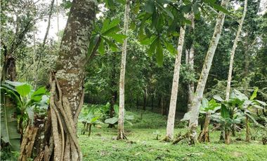 Terreno en Venta en Las Mañanitas YMW