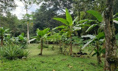 Terreno en Venta en Las Mañanitas YMW