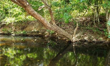 Terreno en Venta en Las Mañanitas YMW