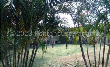 Terreno en Venta en Penonome YMW