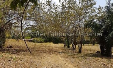 Terreno en Venta en Penonome YMW