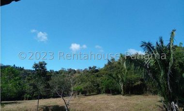 Terreno en Venta en Penonome YMW