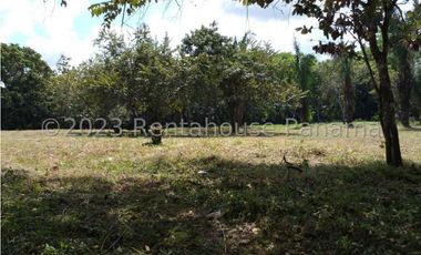 Terreno en Venta en Penonome YMW