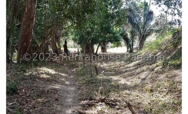 Terreno en Venta en Penonome YMW