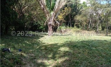 Terreno en Venta en Penonome YMW