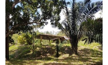 Terreno en Venta en Penonome YMW