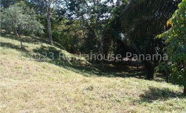 Terreno en Venta en Penonome YMW