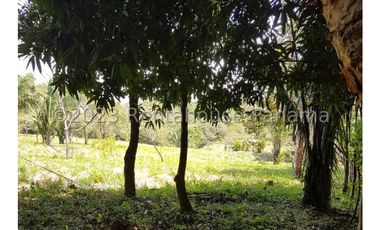 Terreno en Venta en Penonome YMW