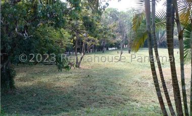 Terreno en Venta en Penonome YMW