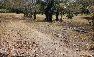 Terreno en Venta en Penonome YMW