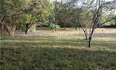 Terreno en Venta en Penonome YMW