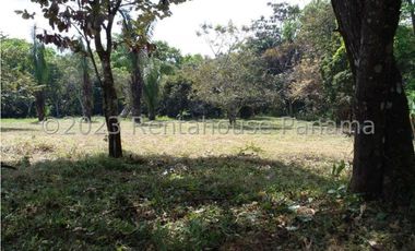 Terreno en Venta en Penonome YMW