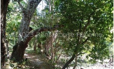 Terreno en Venta en Penonome YMW