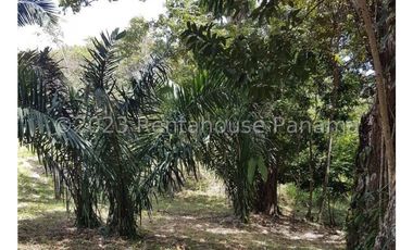 Terreno en Venta en Penonome YMW