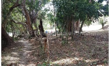 Terreno en Venta en Penonome YMW