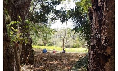 Terreno en Venta en Penonome YMW