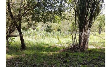 Terreno en Venta en Penonome YMW