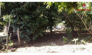Terreno en Venta en Las Tablas YMW
