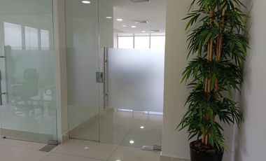 ALQUILER OFICINA AMOBLADA AVENIDA BALBOA