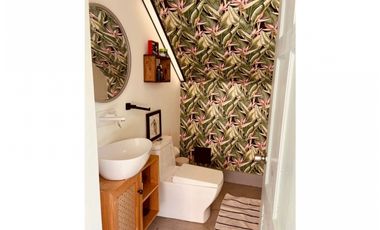 VENTA CASA CON APARTAMENTO ALBROOK