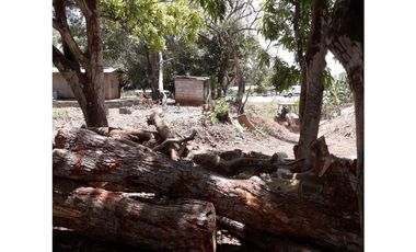 VENTA FINCA RIO HATO
