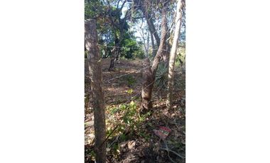 VENTA FINCA RIO HATO