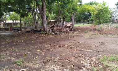 VENTA FINCA RIO HATO