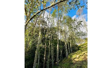 CALERA/ FRAILEJONAL - VENTA!! 4 hbs, 4 bñs,  272.65 mts