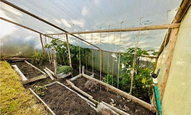 CALERA/ FRAILEJONAL - VENTA!! 4 hbs, 4 bñs,  272.65 mts