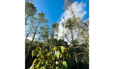 CALERA/ FRAILEJONAL - VENTA!! 4 hbs, 4 bñs,  272.65 mts