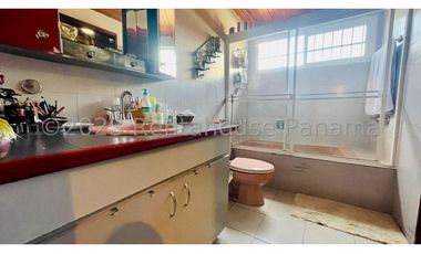 Venta de Casa en Hato Pintado 24-4031