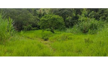 Propiedad en la Zona de Intag