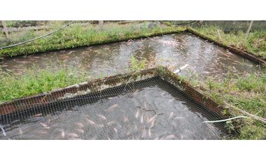 Propiedad en la Zona de Intag