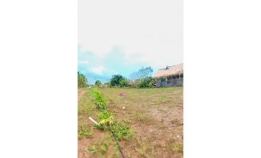 SE VENDE LOTE CAMPESTRE EN SAN BERNARDO DEL VIENTO CERCA DE LA PLAYA