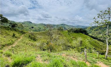 Oportunidad de inversión rural a solo 20 minutos de San Roque.