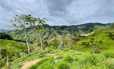 Oportunidad de inversión rural a solo 20 minutos de San Roque.
