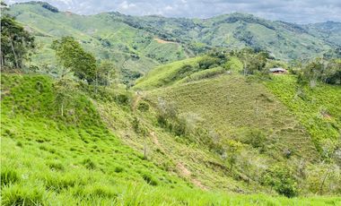 Oportunidad de inversión rural a solo 20 minutos de San Roque.