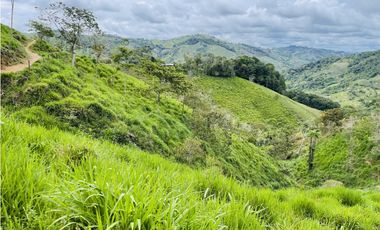 Oportunidad de inversión rural a solo 20 minutos de San Roque.