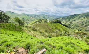 Oportunidad de inversión rural a solo 20 minutos de San Roque.