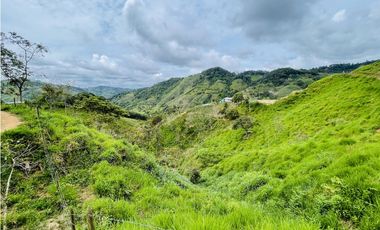 Oportunidad de inversión rural a solo 20 minutos de San Roque.