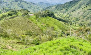 Oportunidad de inversión rural a solo 20 minutos de San Roque.