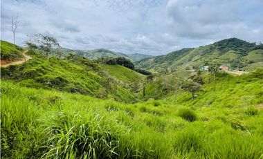 Oportunidad de inversión rural a solo 20 minutos de San Roque.