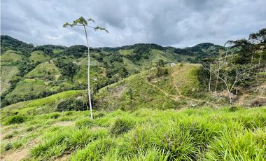 Oportunidad de inversión rural a solo 20 minutos de San Roque.