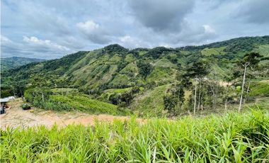 Oportunidad de inversión rural a solo 20 minutos de San Roque.