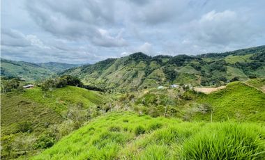 Oportunidad de inversión rural a solo 20 minutos de San Roque.